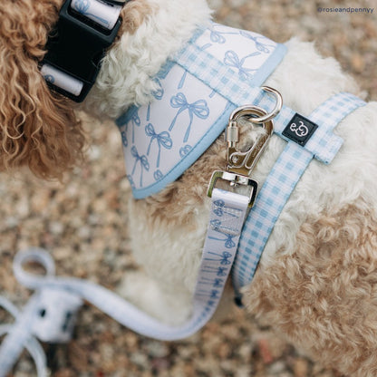 Bowwow Wow! Leash