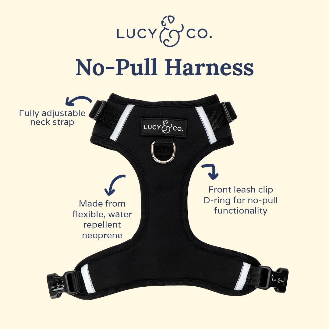 The Midnight No-Pull Harness
