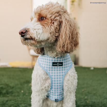 Bowwow Wow! Reversible Harness