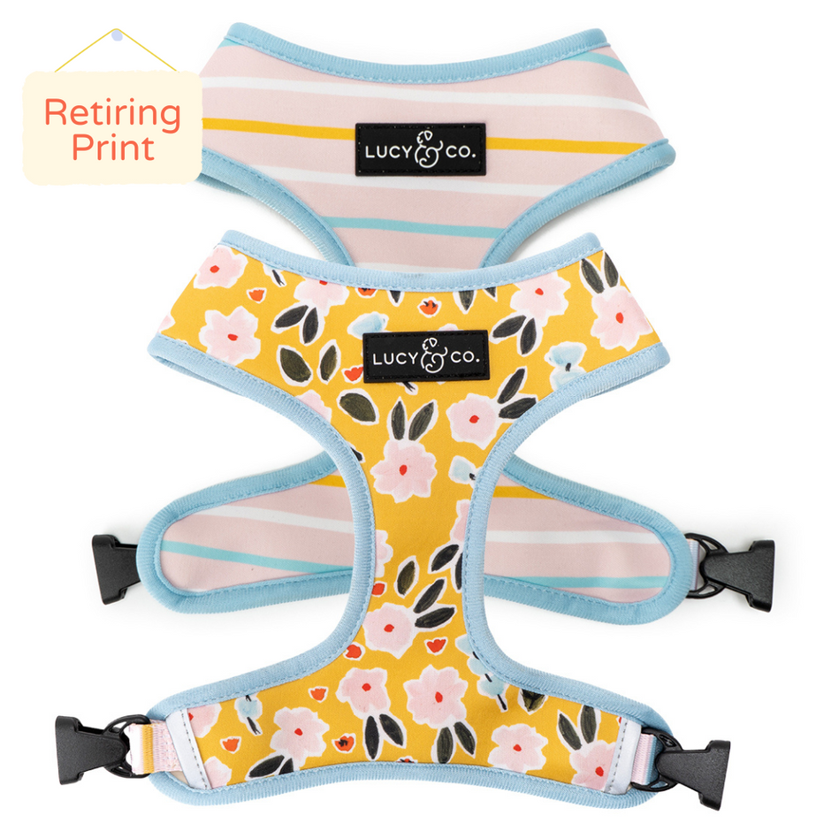 Dog Harnesses & Leashes Cute Dog Gear Matching Walk Sets Lucy & Co.