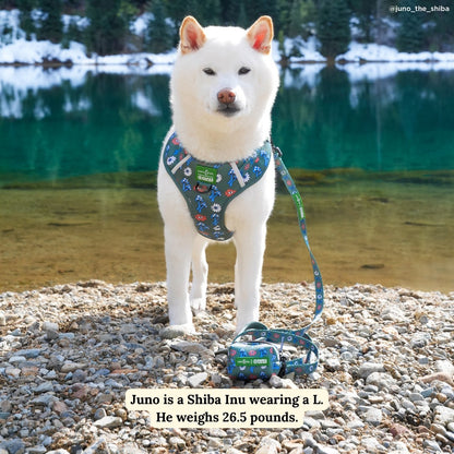 Lucy & Co. x Parks Project Power to the Parks No-Pull Harness