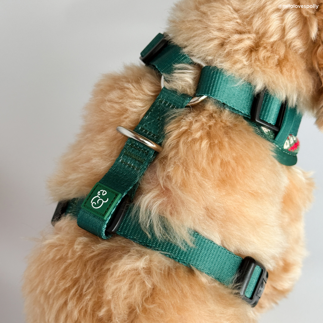 Cozy Cheer No-Pull Harness