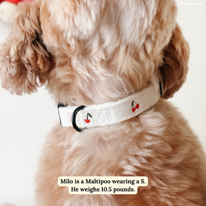 Cherry Cute Collar