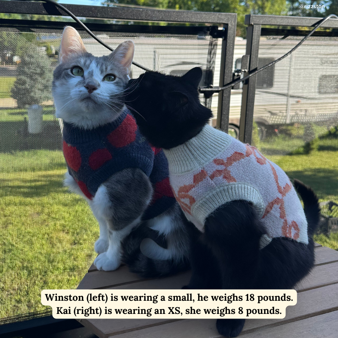 Appley Ever After Sweater