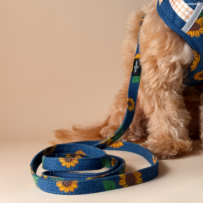 Sunflower Power Denim Leash