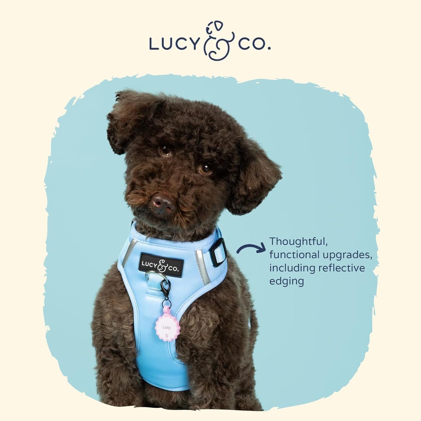 Denim Blue No-Pull Harness