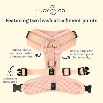 The Rosewater Teddy No-Pull Harness
