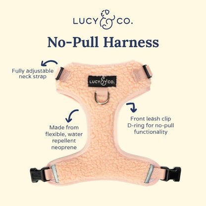The Rosewater Teddy No-Pull Harness