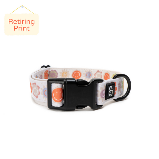 Dog collar top black friday sale