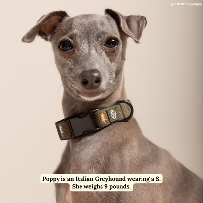 Take a Hike Corduroy Collar