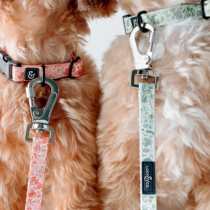 Woodland Wildflowers Leash