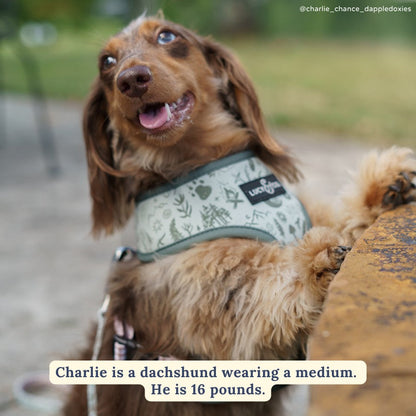 Camp Out Reversible Harness