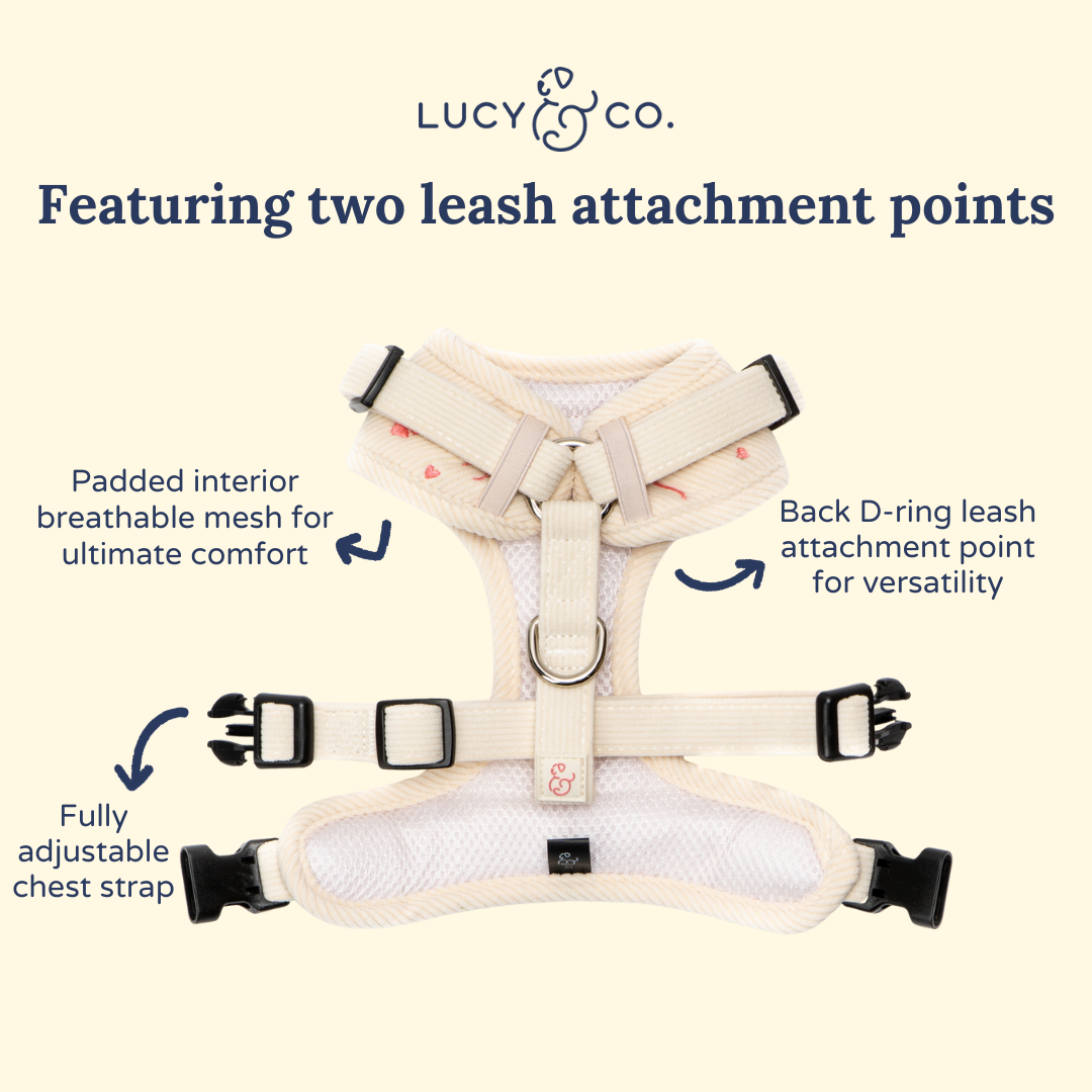 Ever So Sweet No-Pull Harness