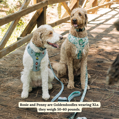 Lucy & Co. x Parks Project Sequoia Seedlings No-Pull Harness