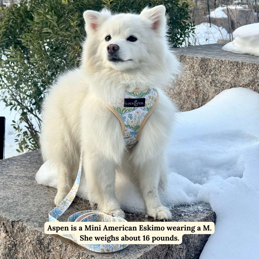 Sunshine and Daffodils Reversible Harness