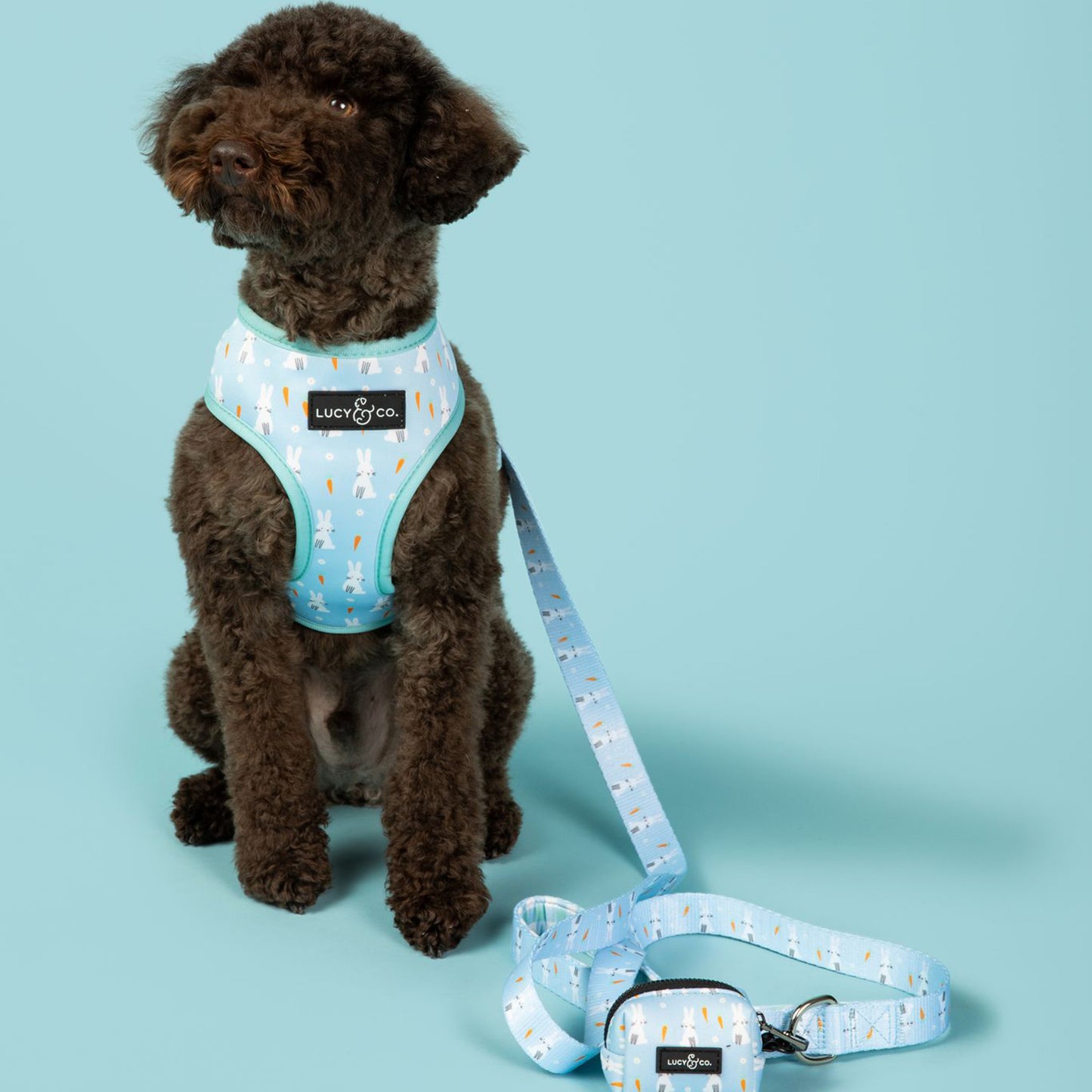 Funny Bunny Reversible Harness