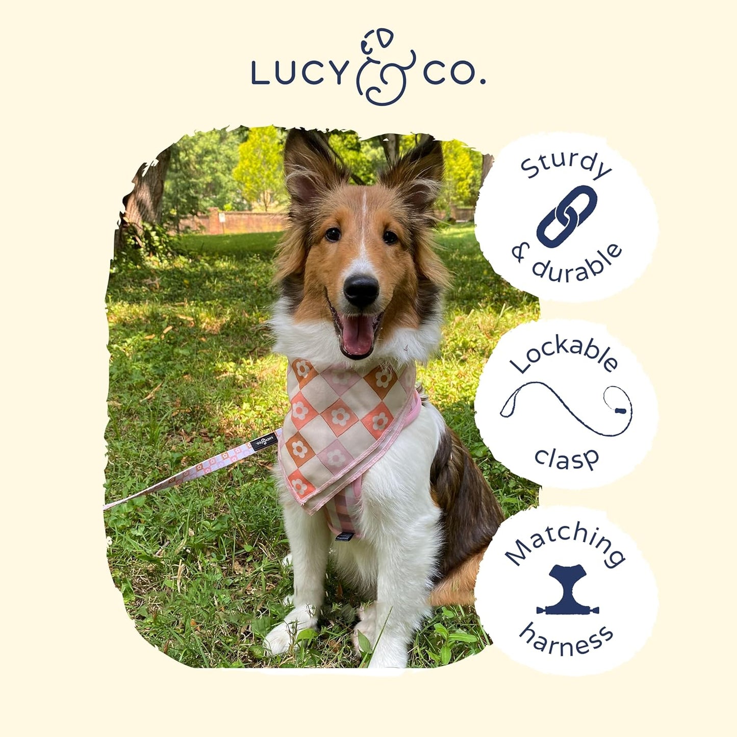 Daisy Delight Reversible Harness