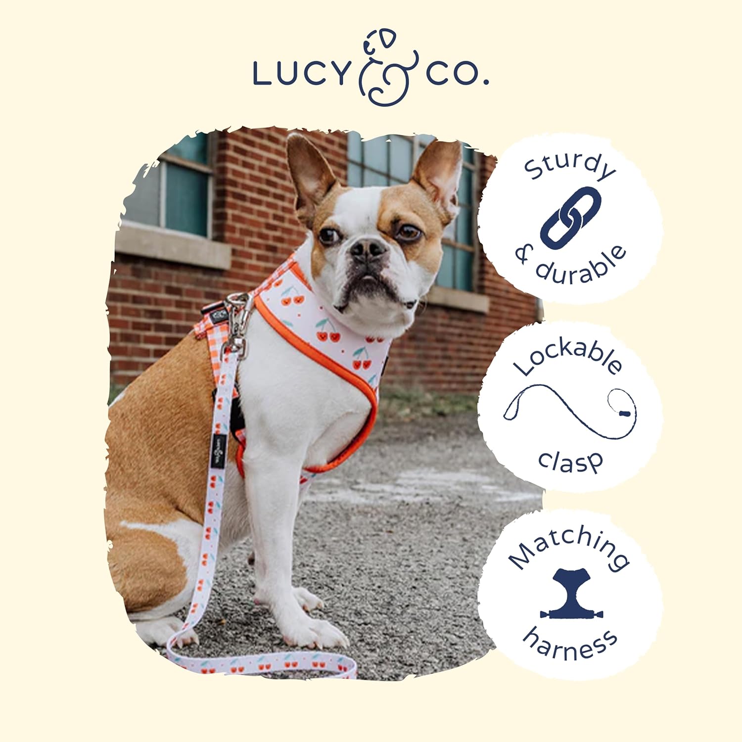 The Cheery Cherries Dog Leash Lucy Co