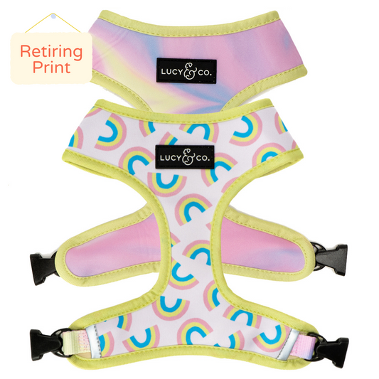 Making Rainbows Reversible Harness