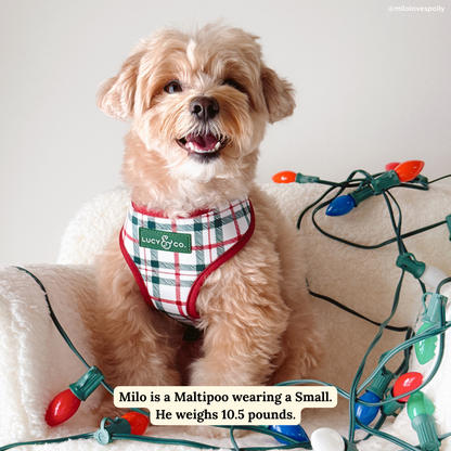 Snow Much Fun Reversible Harness