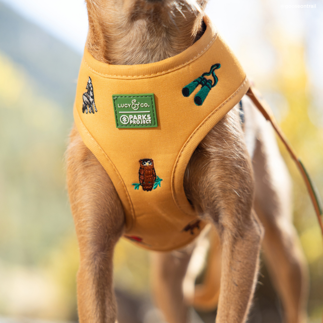 Lucy & Co. x Parks Project Naturalist Club Canvas Reversible Harness