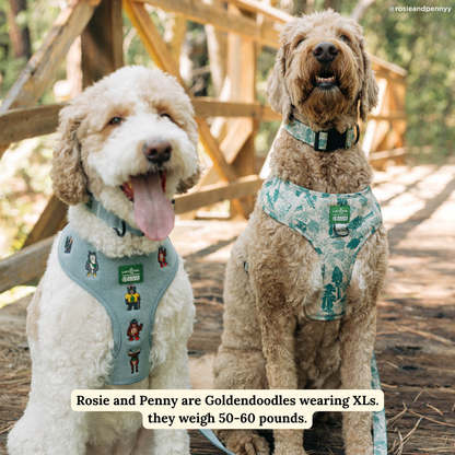 Lucy & Co. x Parks Project Adventures with Friends Reversible Harness