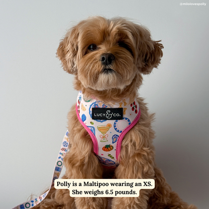 Dolce Vita Reversible Harness