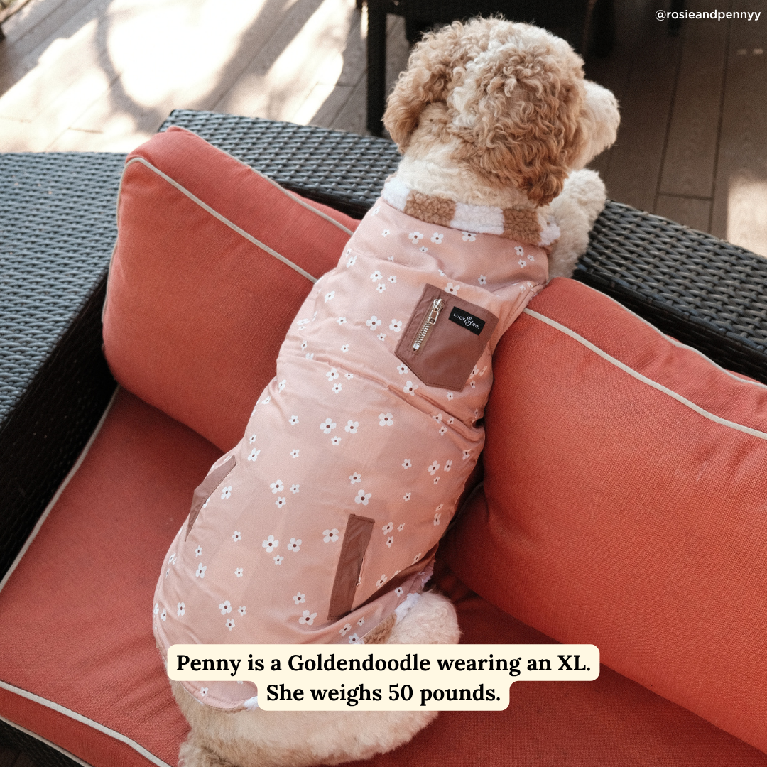 Playing Checkers Reversible Teddy Vest
