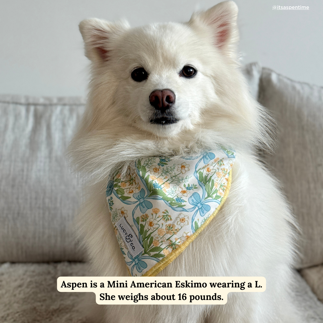 Sunshine and Daffodils Bandana
