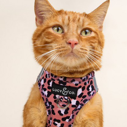 Wild Side Step-in Cat Harness