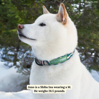 Lucy & Co. x Parks Project Geyser Collar
