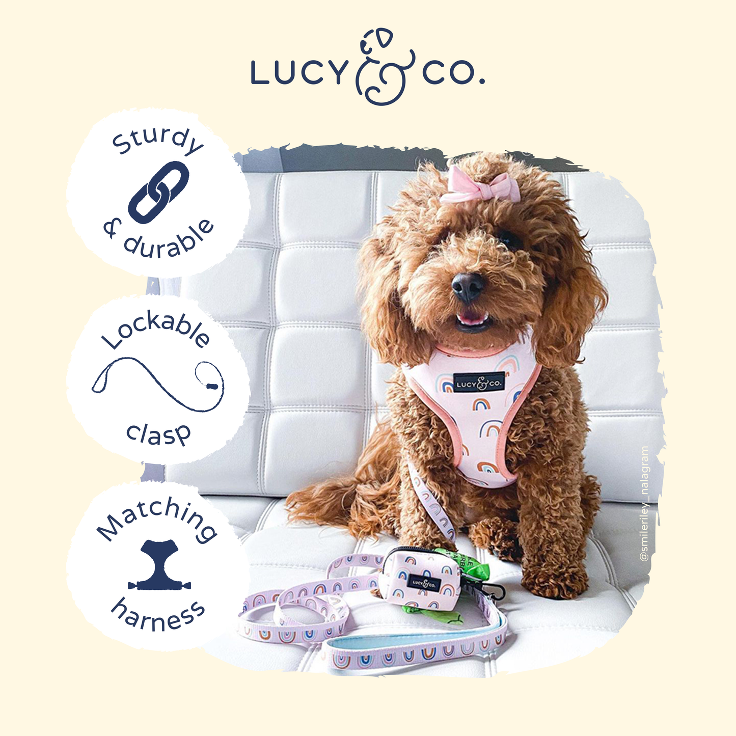 In the Clouds Leash