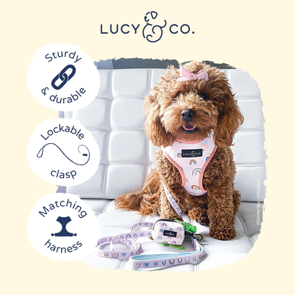 In the Clouds Leash