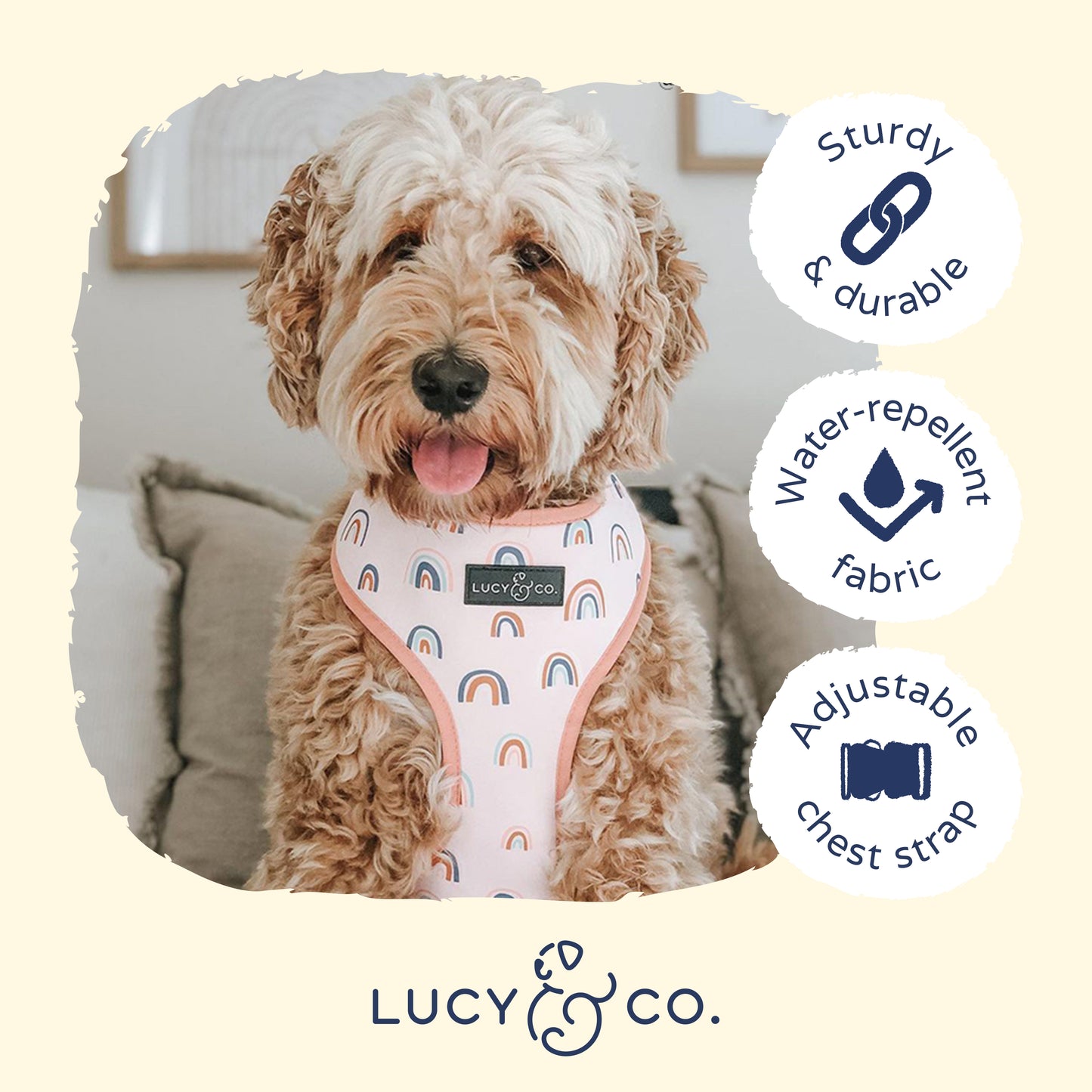 In the Clouds Reversible Harness
