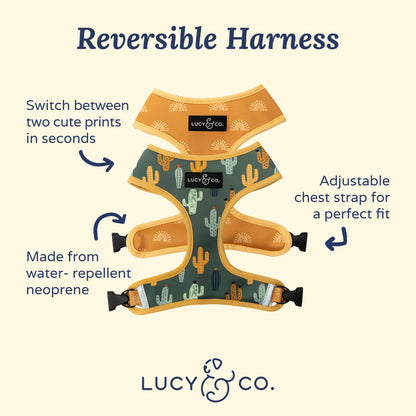 The Looking Sharp Reversible Harness