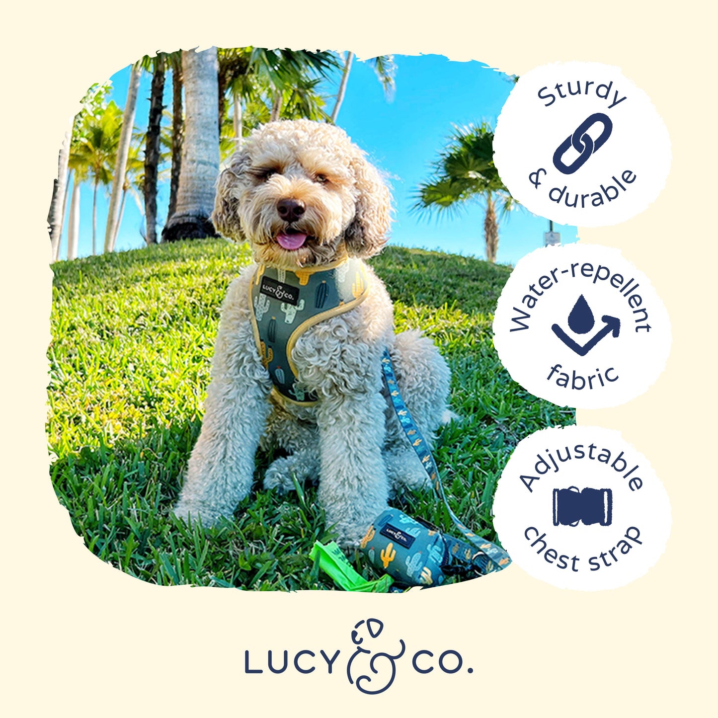 Looking Sharp Reversible Harness