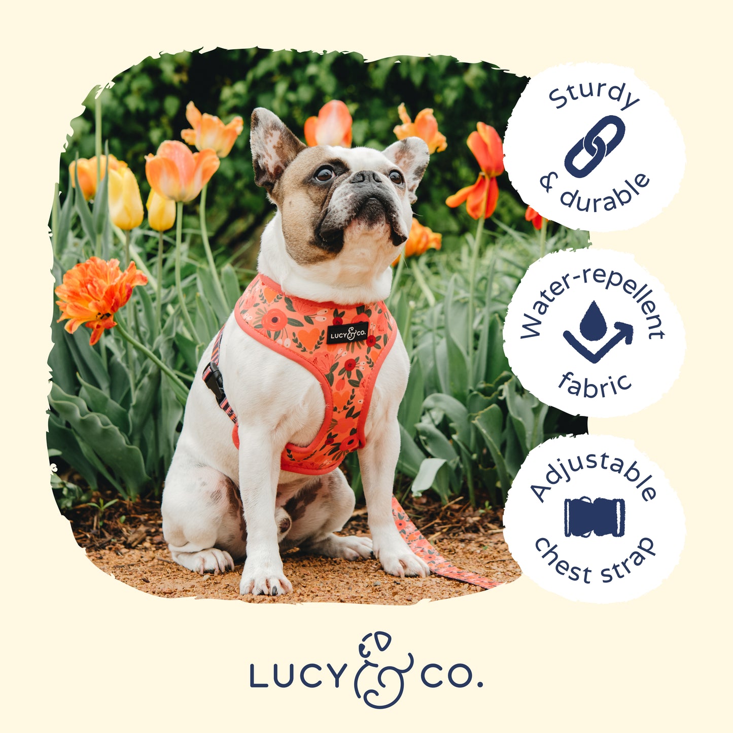 Posy Pink Reversible Harness