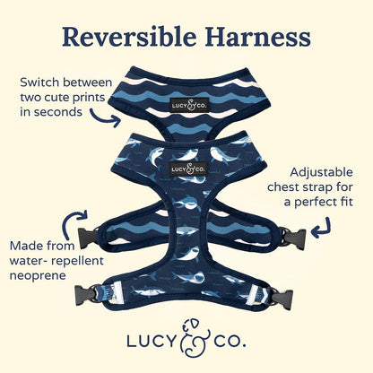Shark Attack Reversible Harness