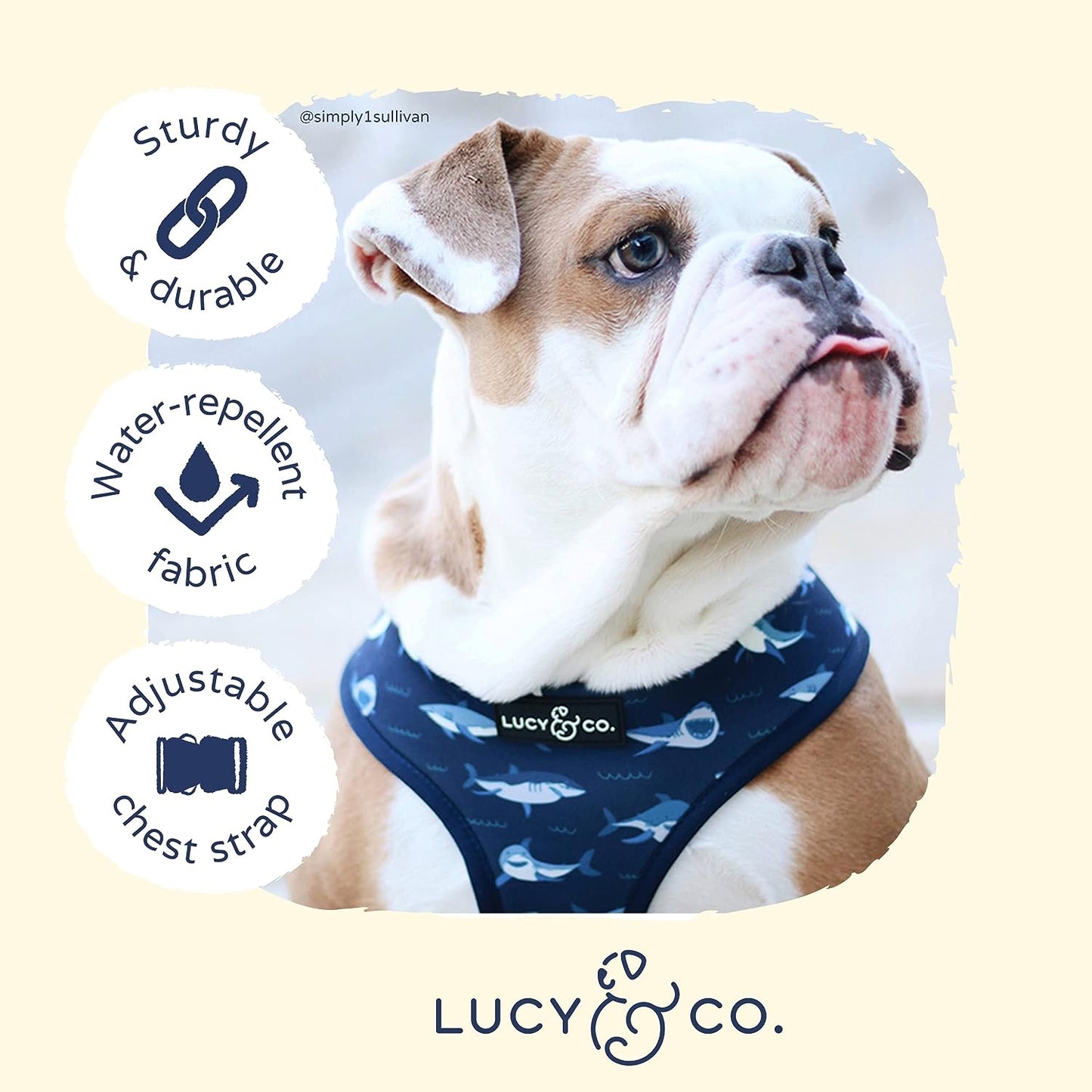 Shark Attack Reversible Harness
