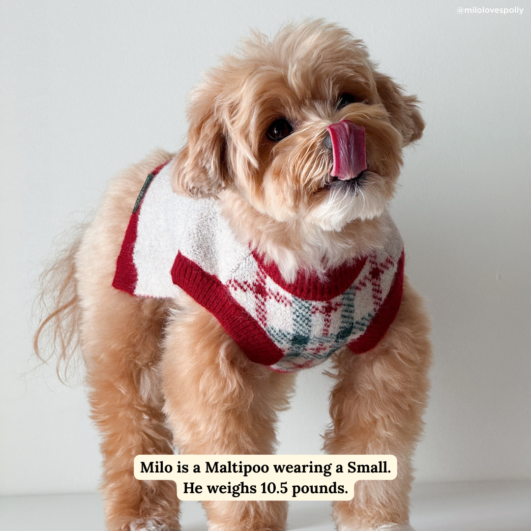 Snow Much Fun Sweater