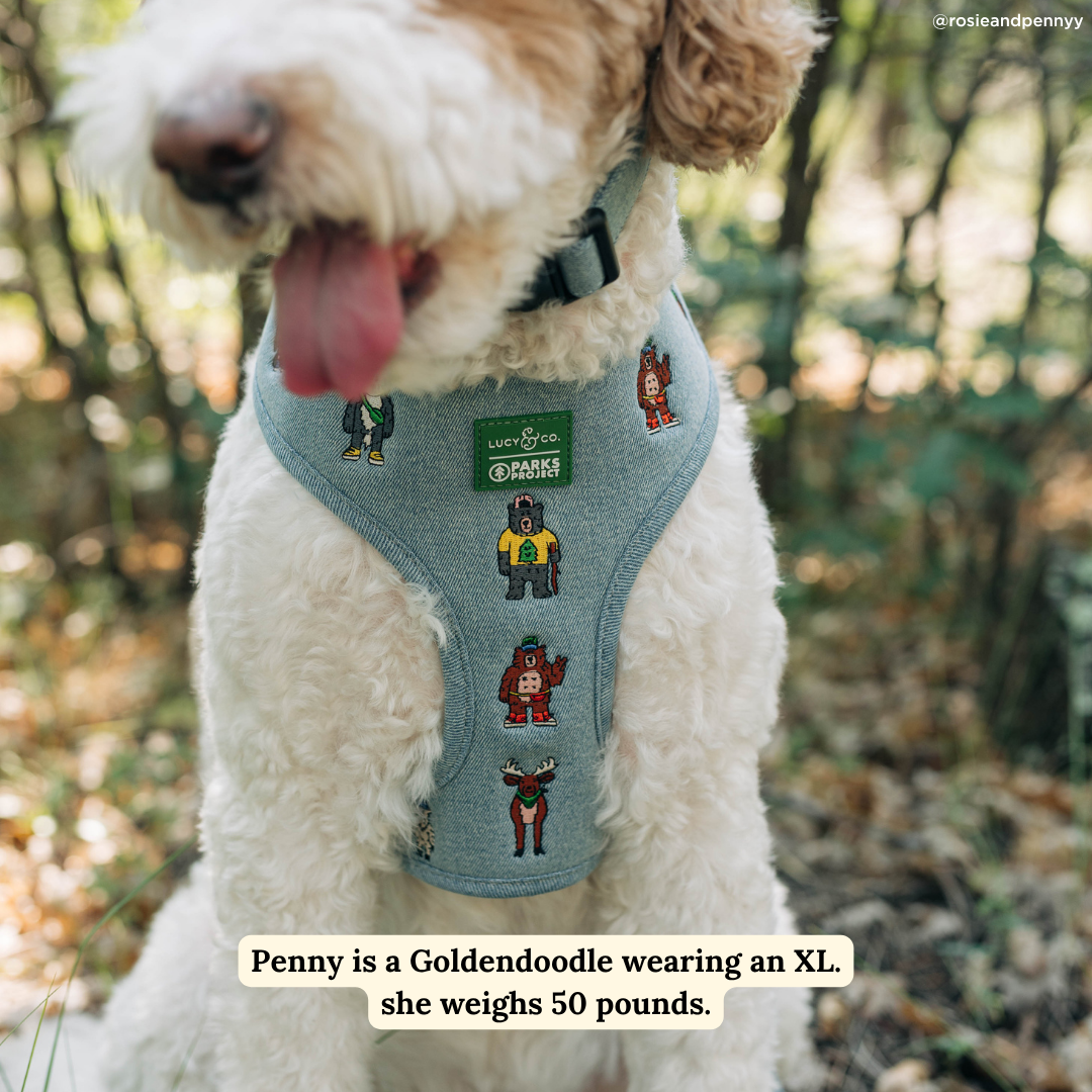 Lucy & Co. x Parks Project Adventures with Friends Reversible Harness