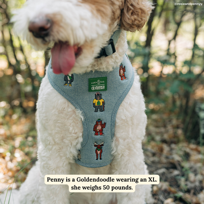 Lucy & Co. x Parks Project Adventures with Friends Reversible Harness