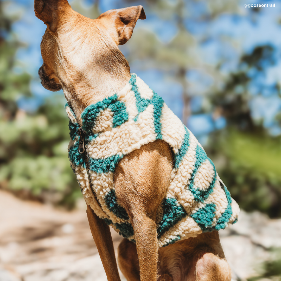 Geyser Reversible Teddy Vest | Lucy & Co. x Parks Project