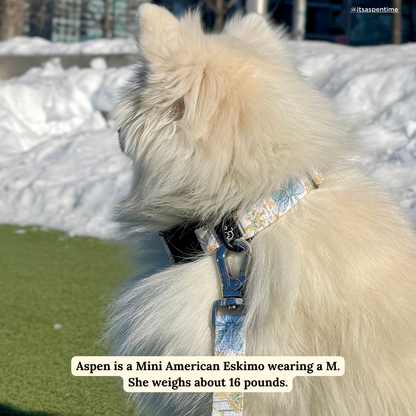 Sunshine and Daffodils Collar