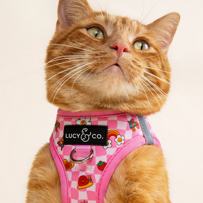 Cutie Patootie Step-in Cat Harness