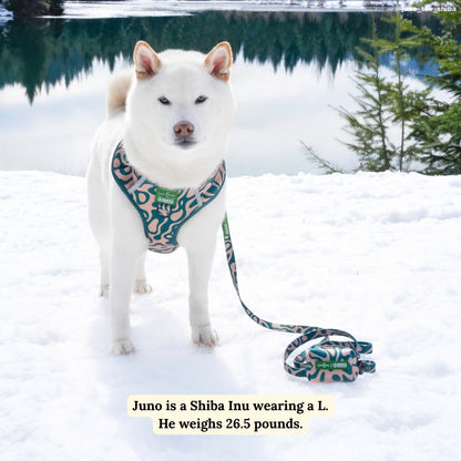 Lucy & Co. x Parks Project Geyser No-Pull Harness