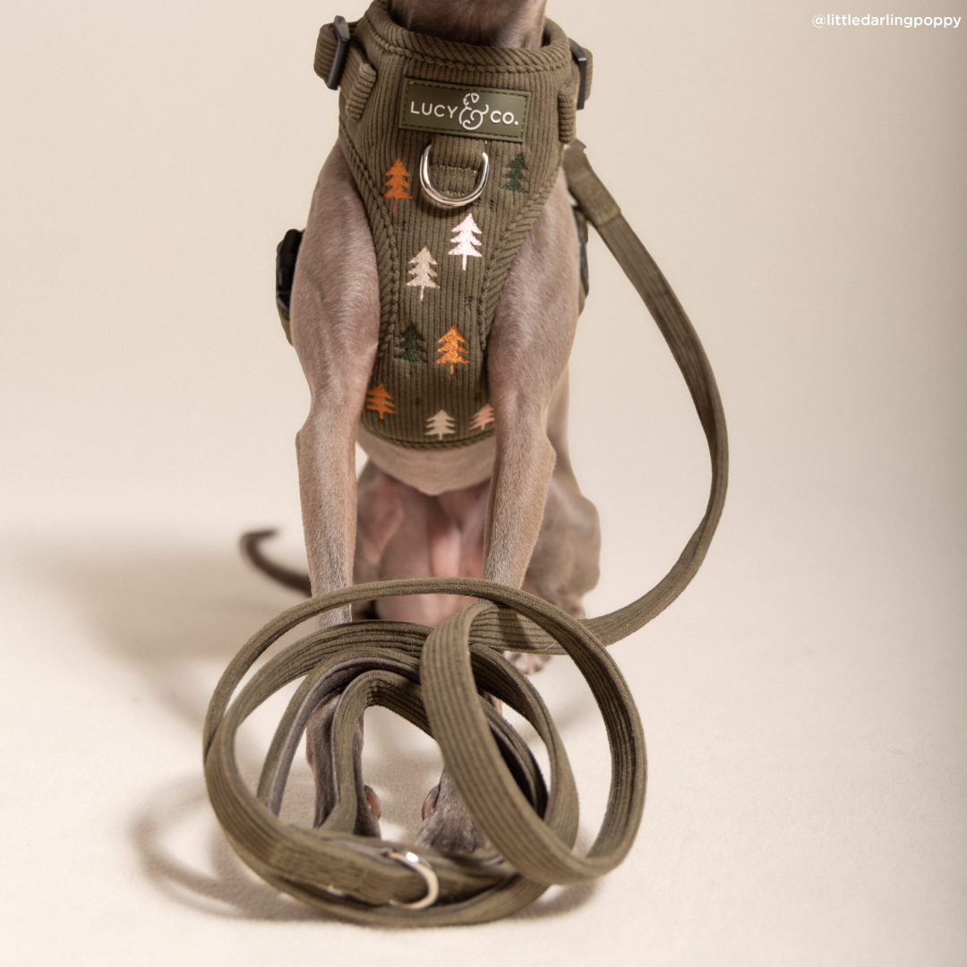 Take a Hike Corduroy Leash