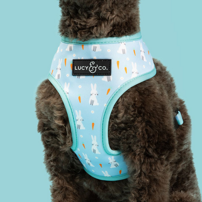 Funny Bunny Reversible Harness