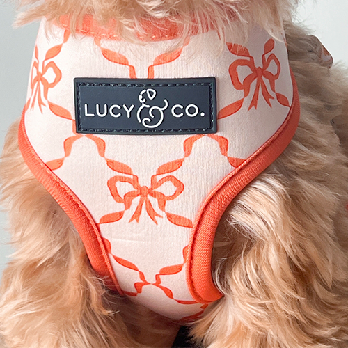 Cozy Cottage Reversible Harness