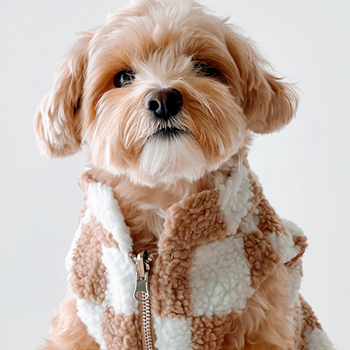 Playing Checkers Reversible Teddy Vest